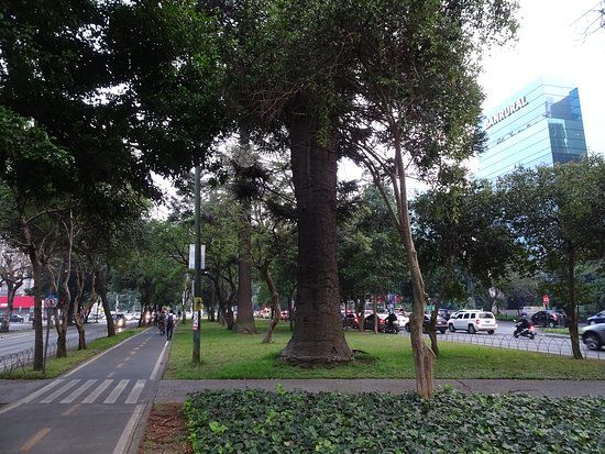 Avenida La Reforma